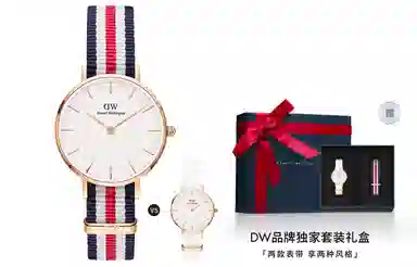 Daniel Wellington DanielWellingtonPETITE DW00100356