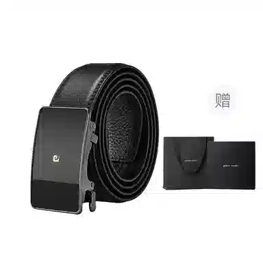 PIERRE CARDIN logo 3.6CM