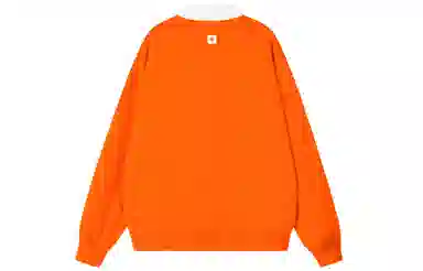 PCLP T