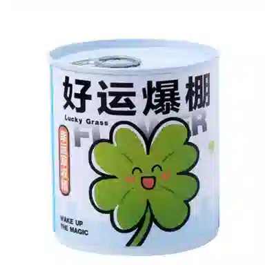 DIY
