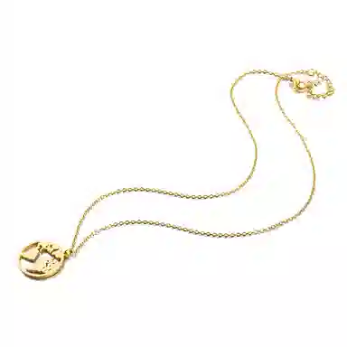 DWCP Titanium Steel Necklace