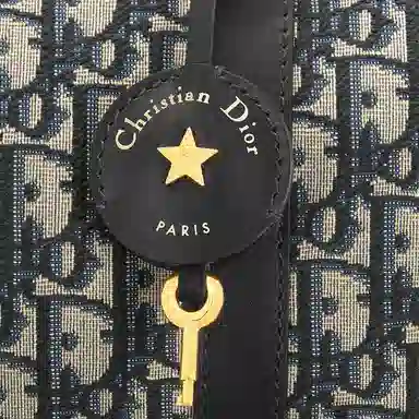 DIOR Groove 20 Oblique