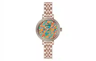 FAIRWHALE ins FW-3200-1