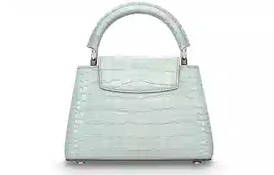 LOUIS VUITTON Capucines