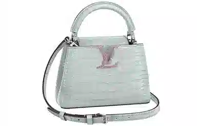 LOUIS VUITTON Capucines