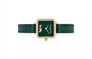 COACH CASS 22 30 14504227