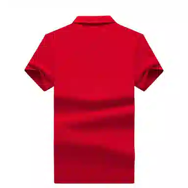 PIERRE CARDIN Polo