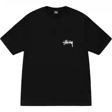Stussy SS24 TOUCAN TEE T