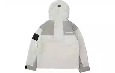 THE NORTH FACE FW22 logo