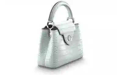 LOUIS VUITTON Capucines