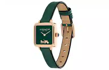 COACH CASS 22 30 14504227