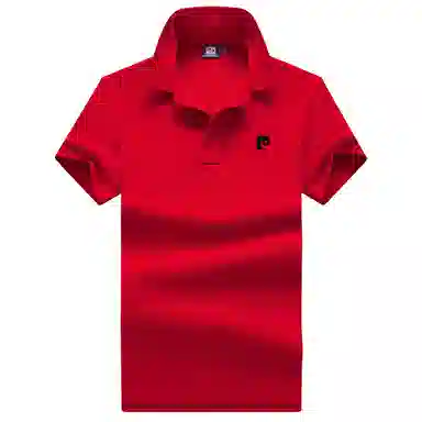 PIERRE CARDIN Polo