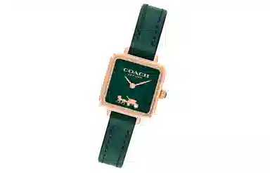 COACH CASS 22 30 14504227