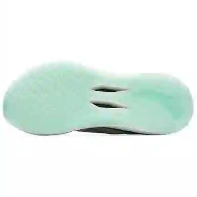 Anta 2.0 Pro