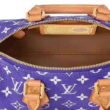 Louis Vuitton Speedy Bandoulière 25