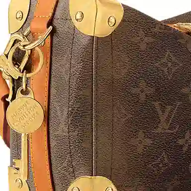 Louis Vuitton Trunk East West Monogram Dust