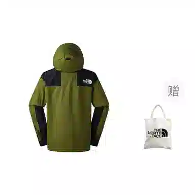THE NORTH FACE 1986FUTURELIGHTLogo