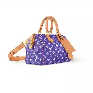 Louis Vuitton Speedy Bandoulière 25