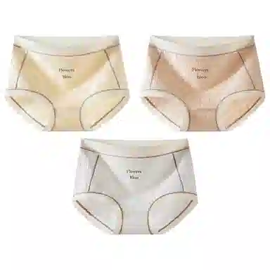 二三二三 抗菌裆性感透气大码三角内裤 女款 组合装