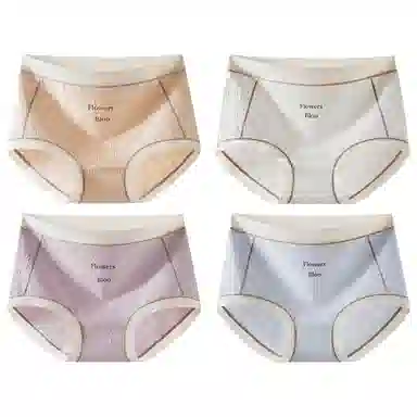 二三二三 抗菌裆性感透气大码三角内裤 女款 组合装