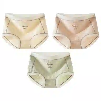 二三二三 抗菌裆性感透气大码三角内裤 女款 组合装