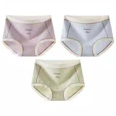 二三二三 抗菌裆性感透气大码三角内裤 女款 组合装