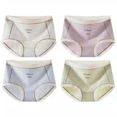 二三二三 抗菌裆性感透气大码三角内裤 女款 组合装