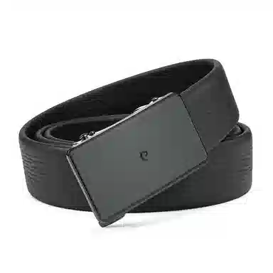 PIERRE CARDIN logo 3.45cm