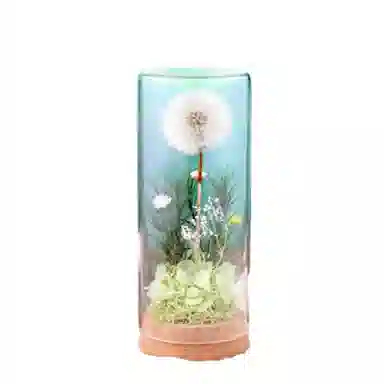 雄俊 蒲公英 永生花摆件 玩具