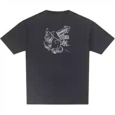 Converse T