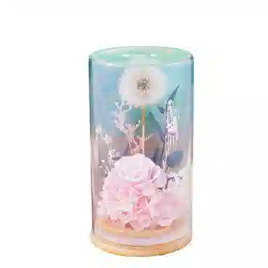 雄俊 蒲公英 永生花摆件 玩具