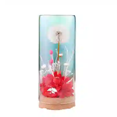 雄俊 蒲公英 永生花摆件 玩具