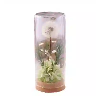 雄俊 蒲公英 永生花摆件 玩具