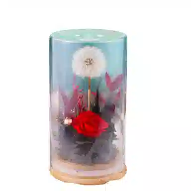 雄俊 蒲公英 永生花摆件 玩具