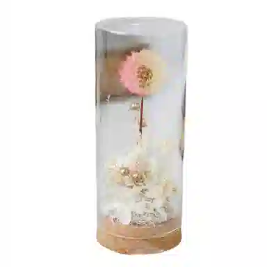 雄俊 蒲公英 永生花摆件 玩具