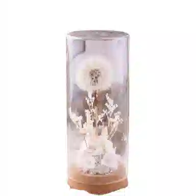 雄俊 蒲公英 永生花摆件 玩具