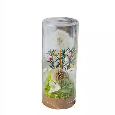 雄俊 蒲公英 永生花摆件 玩具