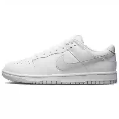 Nike Dunk LTDZ