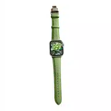 Akkerds Apple Watch