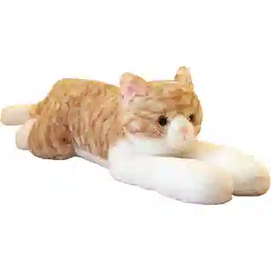 70cm