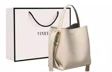 VINEY ins