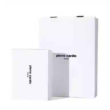 PIERRE CARDIN