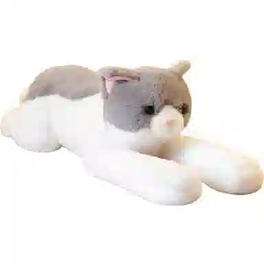 70cm