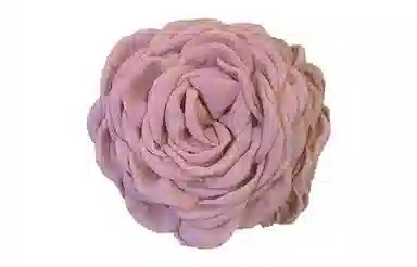 US8ACC