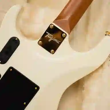 TAGIMA () Stella H2 CN Fishman 22