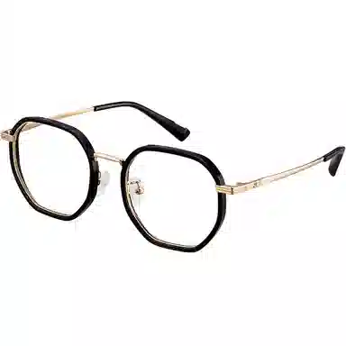 police VPLM95K