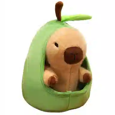 20cm30cm