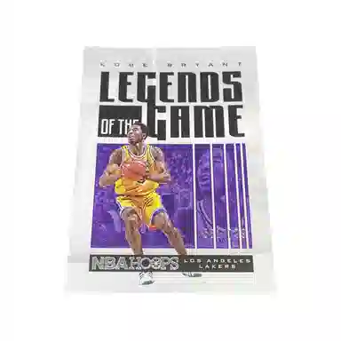 PANINI Hoops