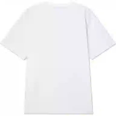 levis T