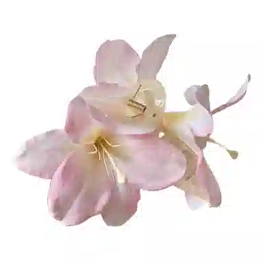 贯古今 百合花仙唯美仿真立体花朵氛围感后脑勺 亚克力 发夹 女款